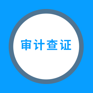 审计查证