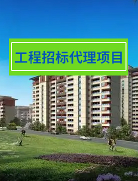 工程招标代理项目